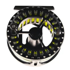 Pool 12 Accelerator -Vis Vondst Verkoopwinkel 20191837r 4