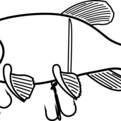 Quantum Freak Of Nature Hybrid Tench 23cm, 175g -Vis Vondst Verkoopwinkel 22 3273005r 4