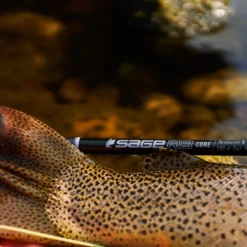 Sage R8 Core -Vis Vondst Verkoopwinkel 3904R8r 10