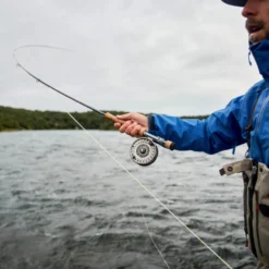 Sage R8 Core -Vis Vondst Verkoopwinkel 3904R8r 8