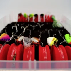 Rhino Bait Holder (3-pack) Medium -Vis Vondst Verkoopwinkel 4285023r 4