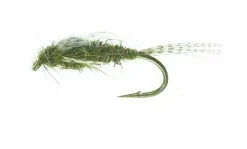 A.P. Olive Olive TMC 3761 #12