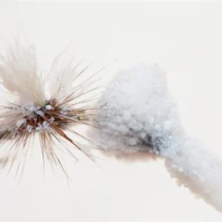 Hunt's Original Floatant -Vis Vondst Verkoopwinkel HNTF 3