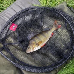 Fox Rage Street Fighter Carbon Street Net 2.4m -Vis Vondst Verkoopwinkel NLN014 5