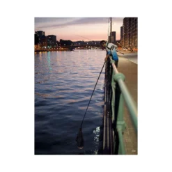 Fox Rage Street Fighter 3.7m Carbon Street Net -Vis Vondst Verkoopwinkel NLN015 8