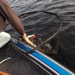 Drifter Tackle Predator Net 48 Black Handle -Vis Vondst Verkoopwinkel PR40XXL BKr 6