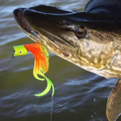 Howitzer Popper Heads -Vis Vondst Verkoopwinkel SS HP WLr 3