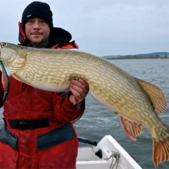 Westin Platypus 19 Cm - Sjunkande -Vis Vondst Verkoopwinkel WS17112r 3